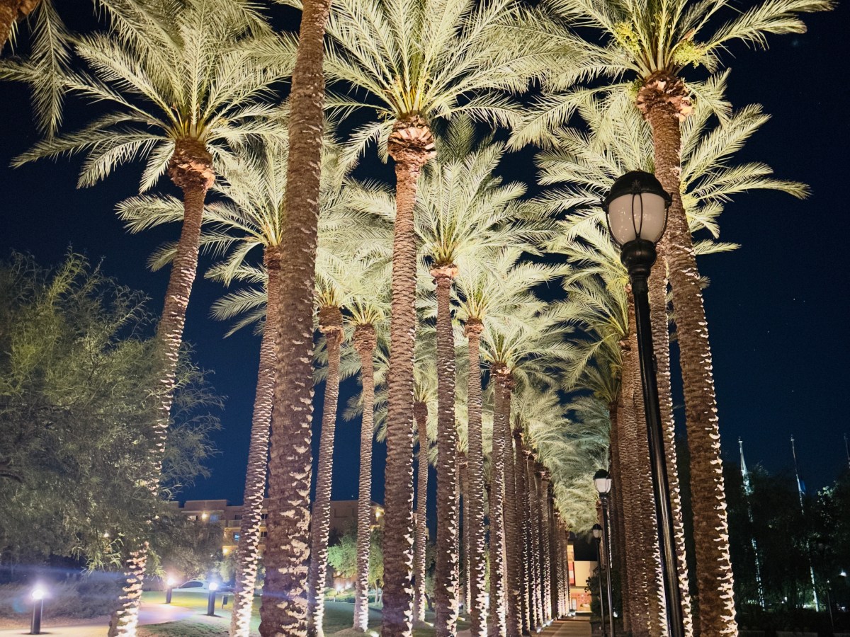 Phoenix Arizona